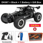 Oike RC Car 1:16 Model With LED Lights Radio Off-road Remote Control Climbing Vehicle Outdoor Cars Drift Race Toys Boys Gifts