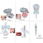 Flower Knows Mermaid Glow Makeup Set Eyeshadow Lip Gloss Blush Pearl Shell Series New Arrival Fantasy Look Gift for Girls